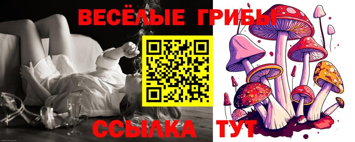 Луга  Псилоцибиновые грибы Psilocybe  Вход с VPN  Псилоцибиновые грибы Cubensis 