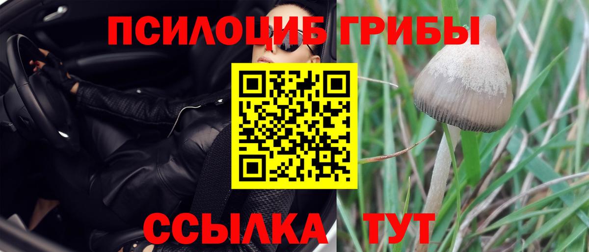 Псилоцибиновые грибы мухоморы Луга